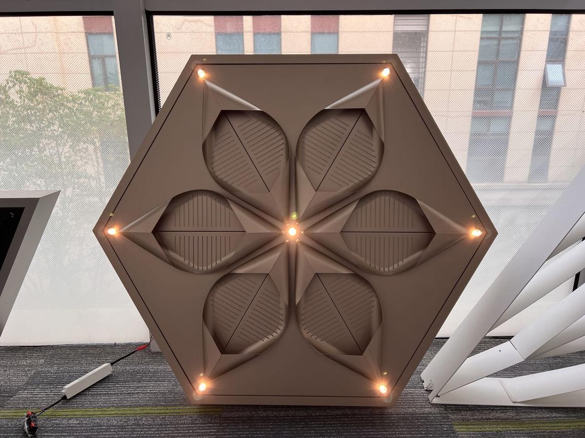 Custom leaf ceiling detail at Ballesta showroom