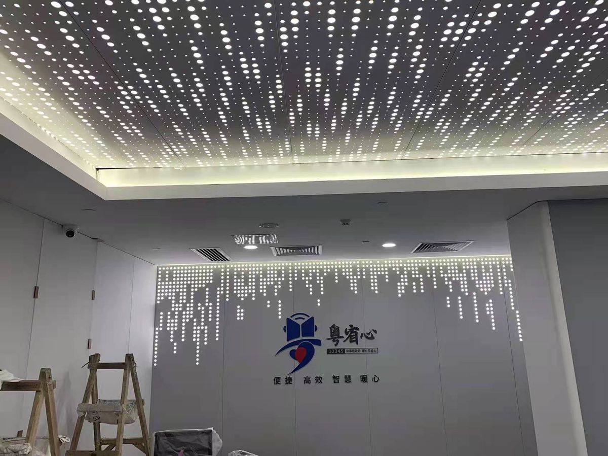 Guangdong Provincial Government Service Platform
