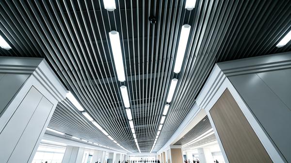 Ballesta Linear Baffle